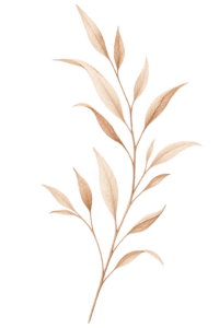 Rama boho